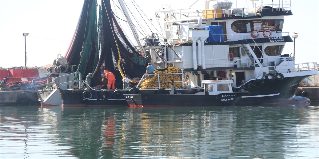 Tekirdağ’da poyrazın dinmesiyle balıkçılar denize açıldı, hamsi ve lüfer için umutlu, palamut beklentisi düştü