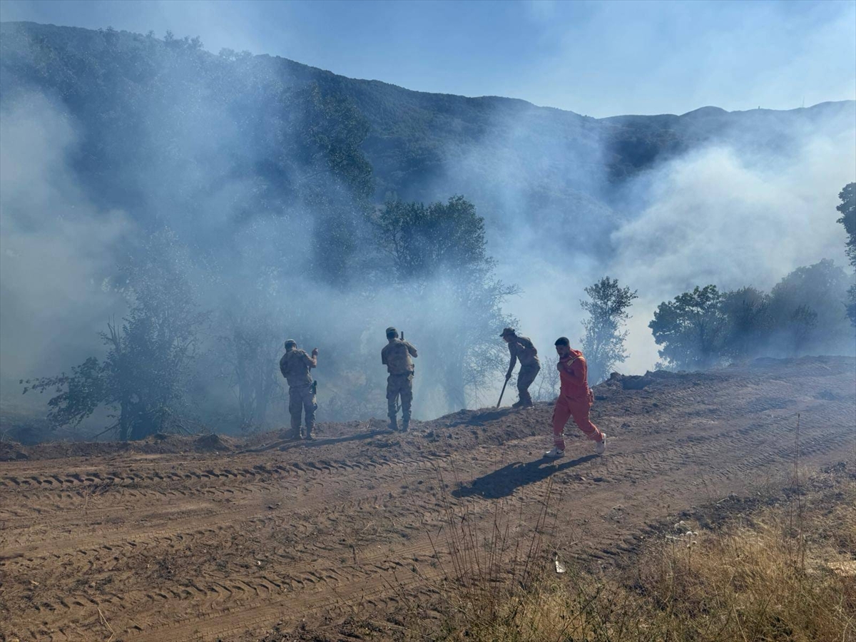 Tunceli'de çıkan orman yangını kontrol altına alındı