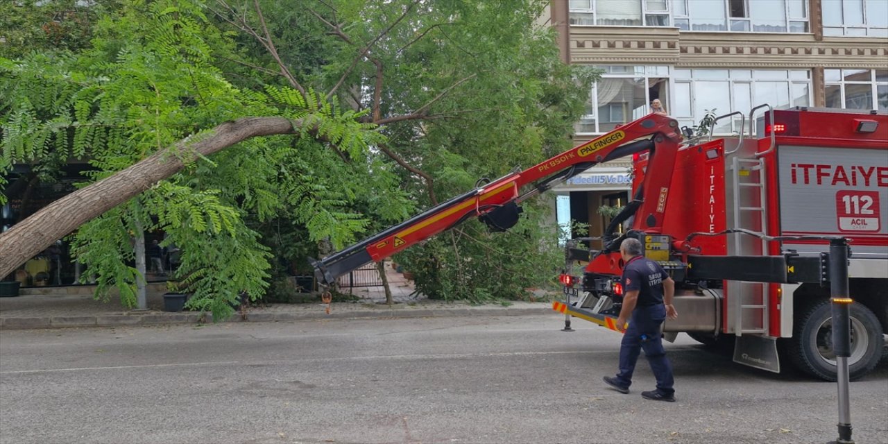 Samsun’da kaldırımdaki ağaç park halindeki otomobilin üzerine devrildi, araçta hasar meydana geldi