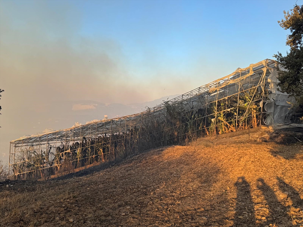Alanya orman yangınına müdahale sürüyor