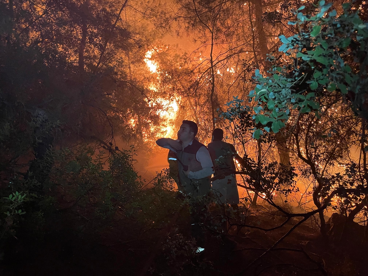 Milas'ta çıkan orman yangınına müdahale ediliyor