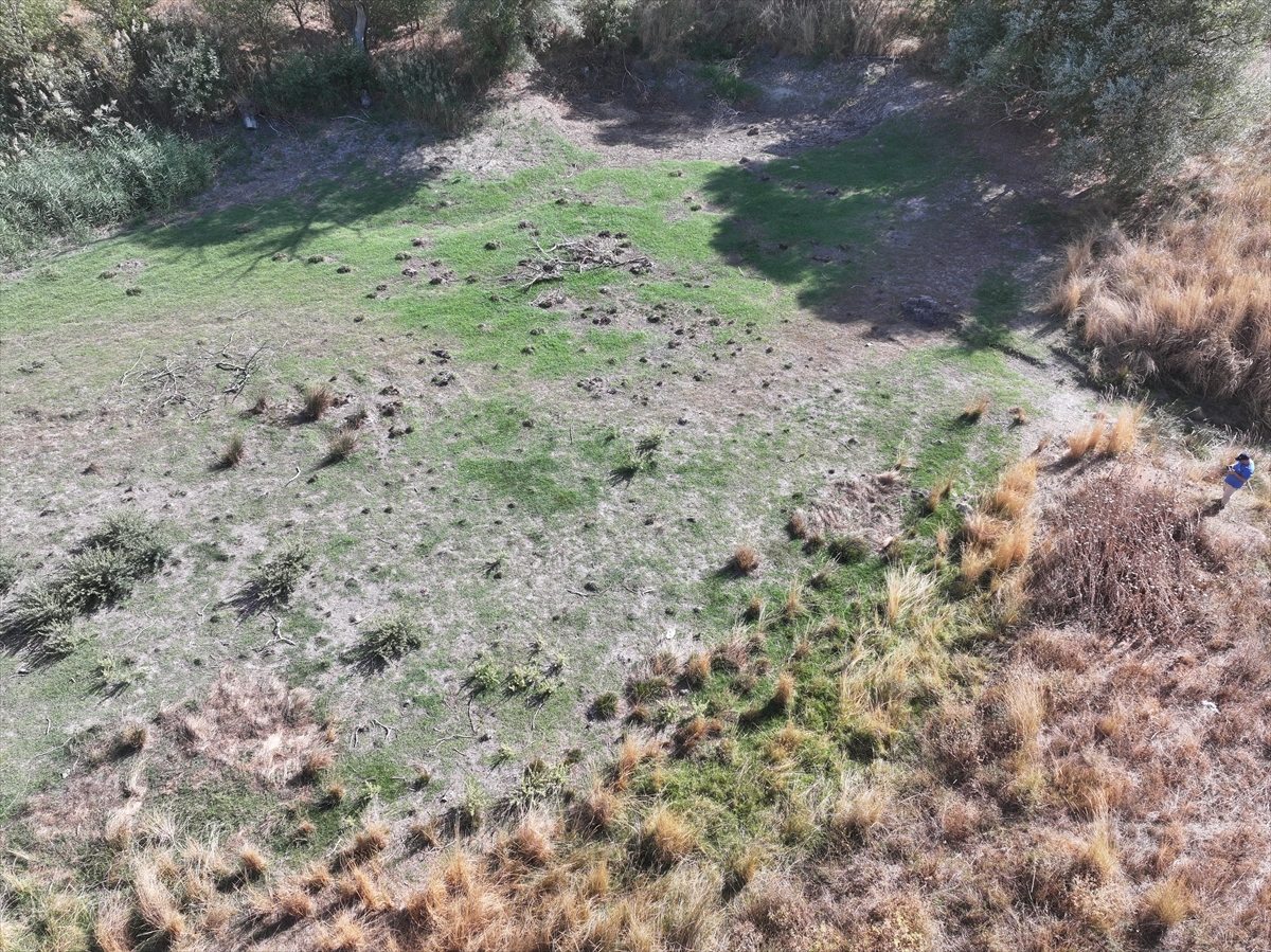 Musabeyli Göleti kuraklık nedeniyle tamamen kurudu. Edirneliler üzüntülü