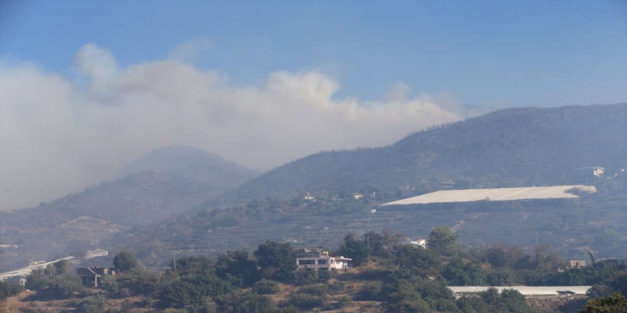 Alanya Aliefendi’de çıkan orman yangını rüzgarın etkisiyle büyüdü
