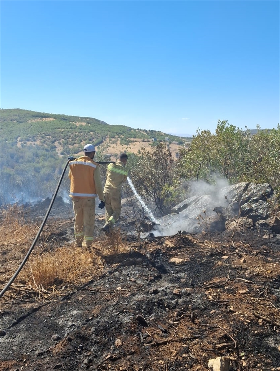 Diyarbakır'da 3 ayrı noktada çıkan örtü yangınları söndürüldü