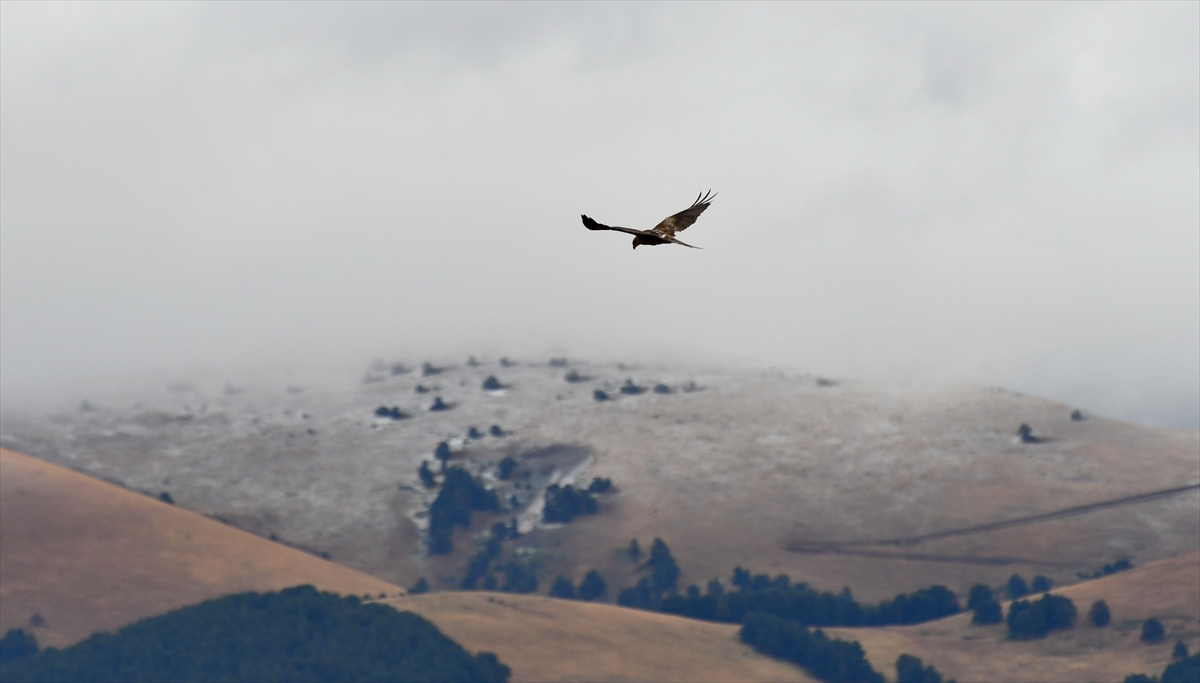 Sarıkamış'ın yüksek kesimlerine kar yağdı