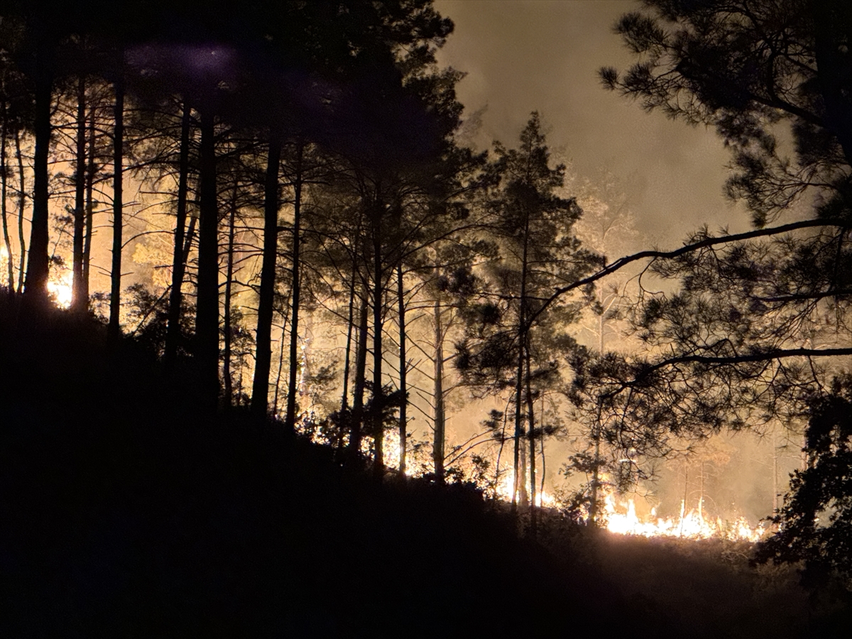 Antalya'nın Alanya ilçesinde ormanlık alanda yangın çıktı