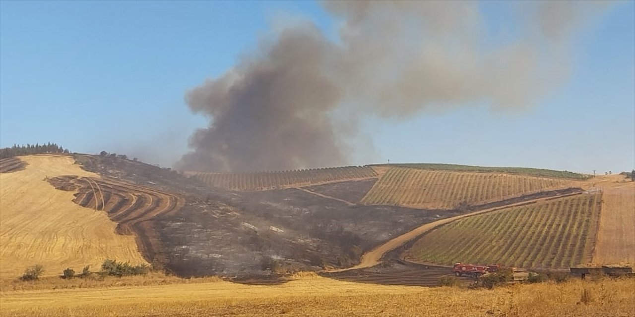 Gelibolu'da tarım arazisi ve bitişiğindeki ormanlık alanda çıkan yangın kontrol altına alındı