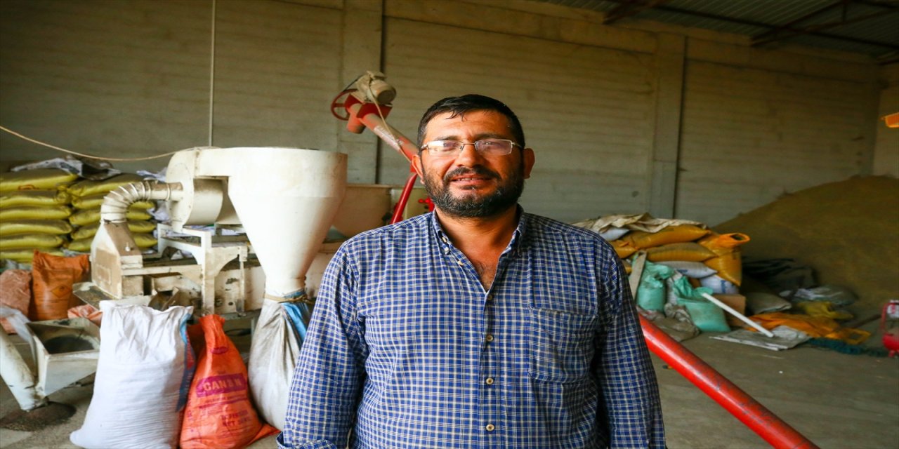 Uşak'ta çörek otu ekim alanı 7 yılda yüzde 335 arttı, üretim 3 bin 500 tona ulaştı, kilogram fiyatı 125 TL'ye yükseldi.