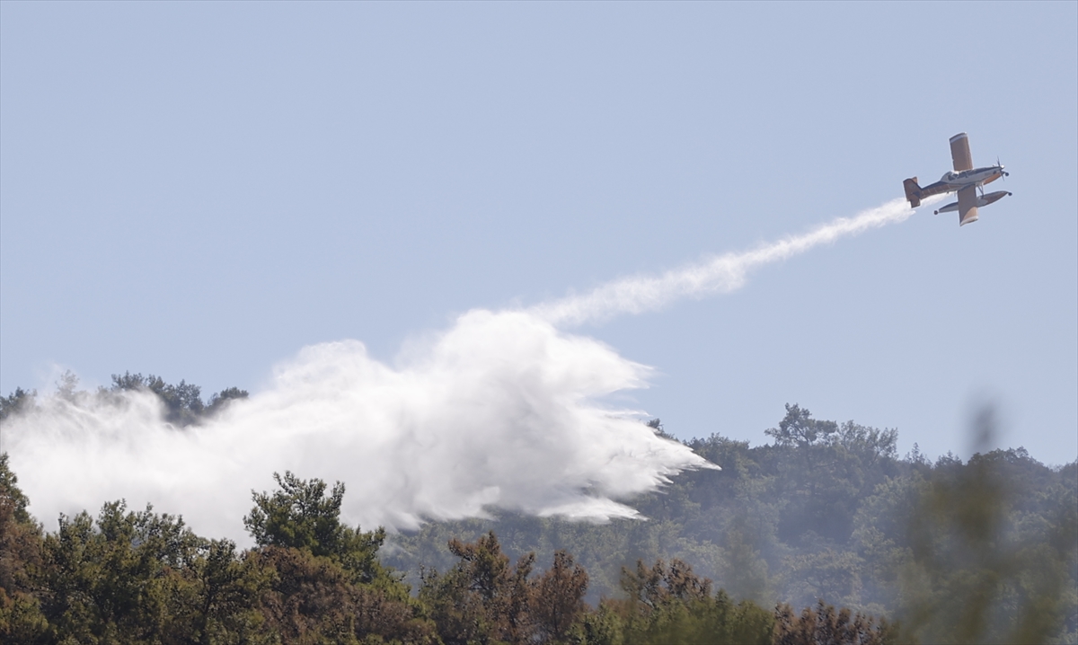 Milas'ta çıkan orman yangınına havadan ve karadan müdahale ediliyor