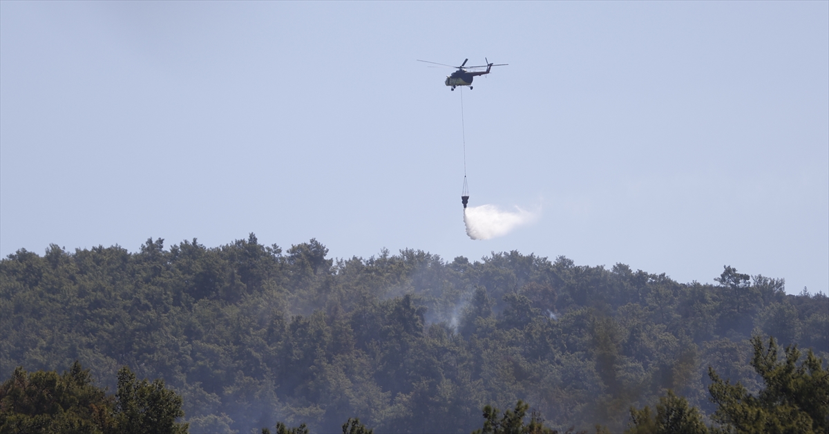 Milas'ta çıkan orman yangını kontrol altına alındı