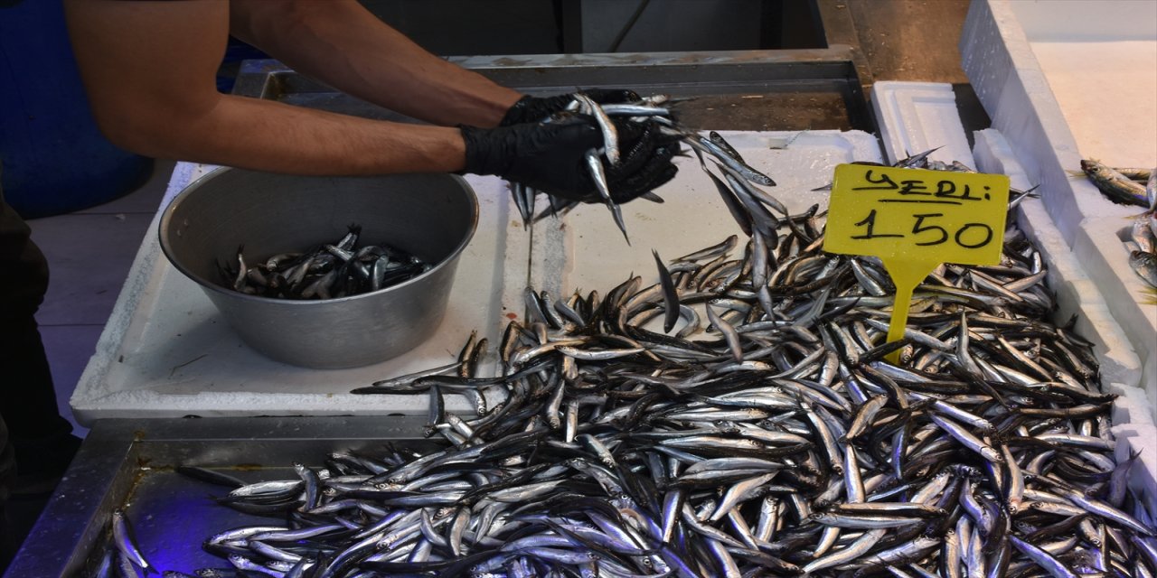 Trabzon’da balık fiyatları belli oldu, satışlar taze ve yoğun