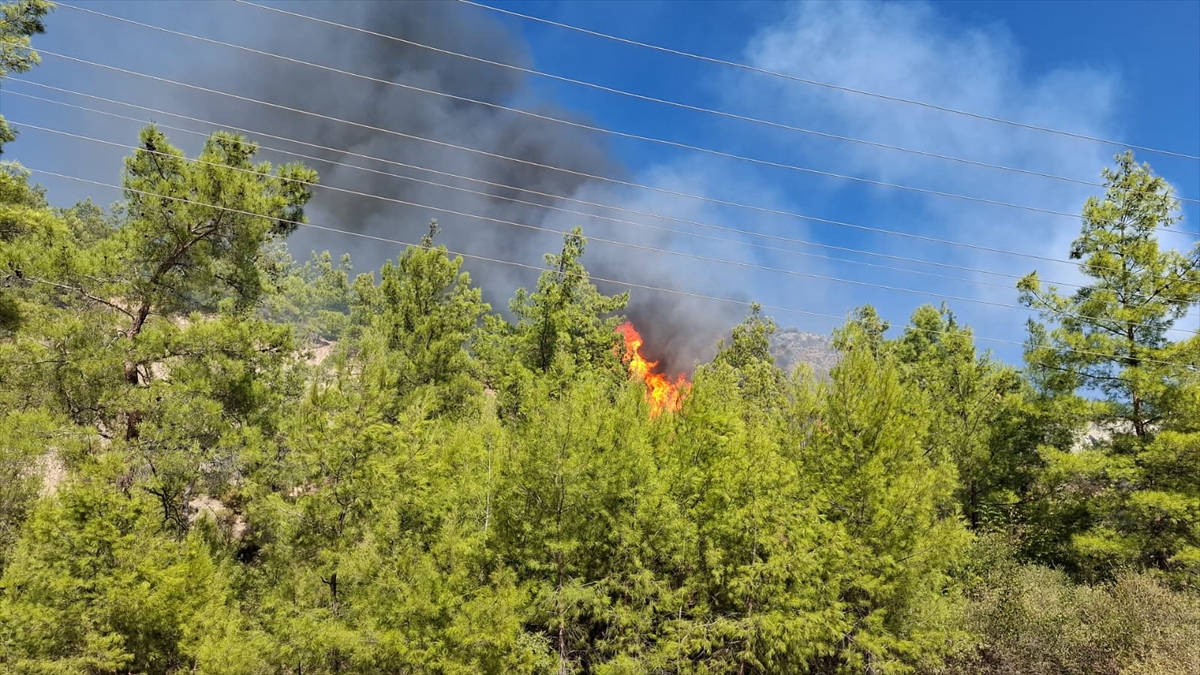 Antalya'da ormanlık alanda yangın çıktı