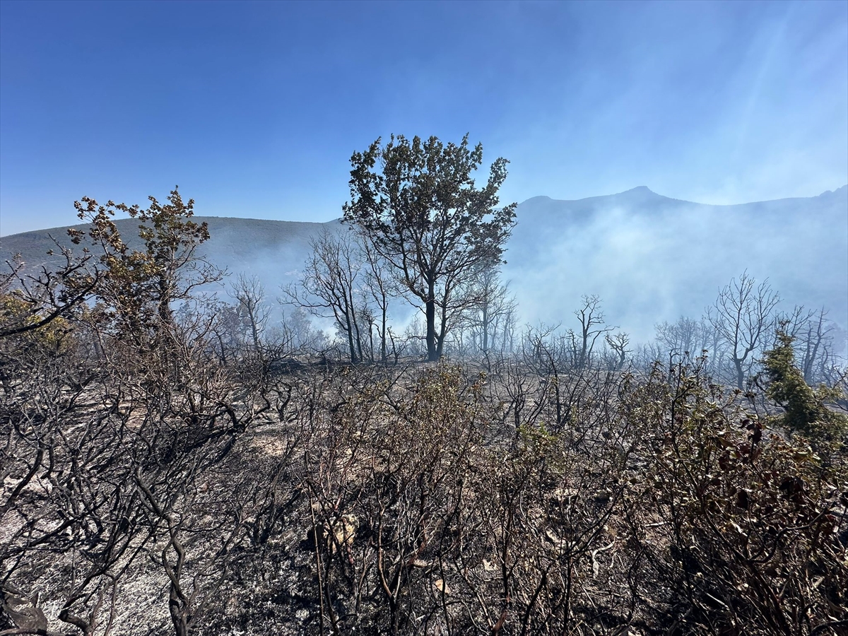 Konya'da çıkan orman yangınına müdahale ediliyor