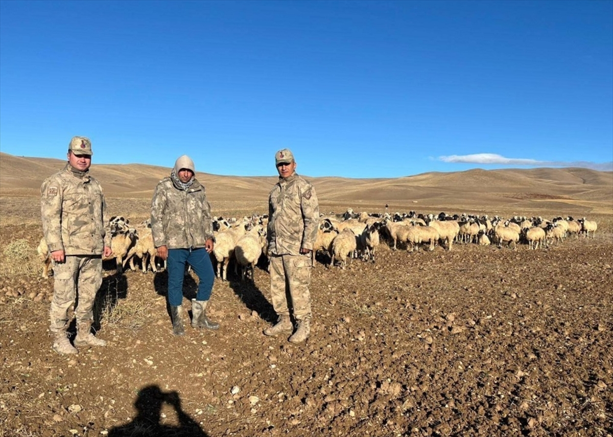 Erzincan’da kaybolan 300 koyun İHA desteği ile bulundu