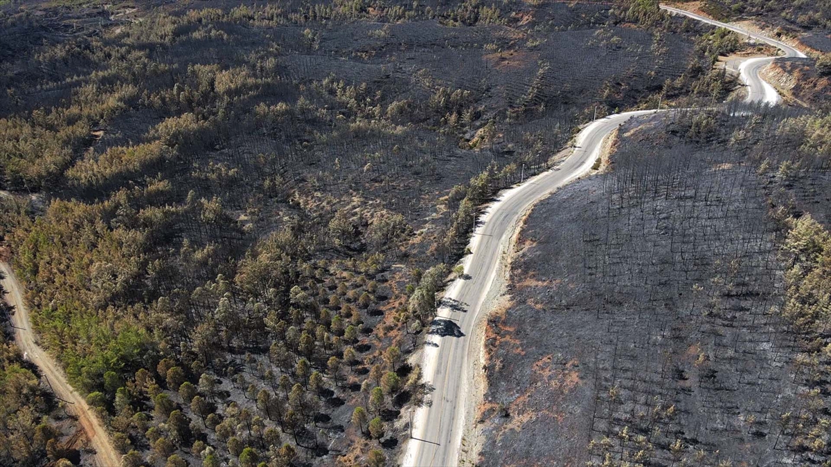 Köyceğiz’de yangından zarar gören alanlar havadan görüntülendi