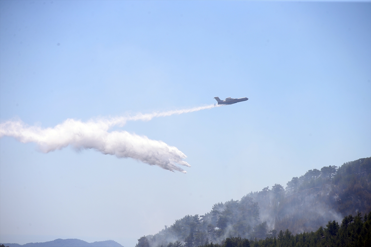 Muğla ve Antalya'daki orman yangınları kontrol altına alındı