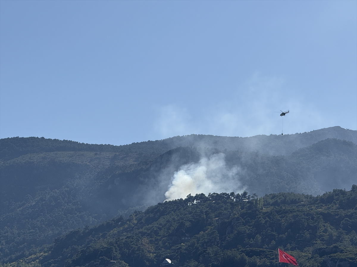İzmir'de ormanlık alana yakın noktada çıkan yangın söndürüldü