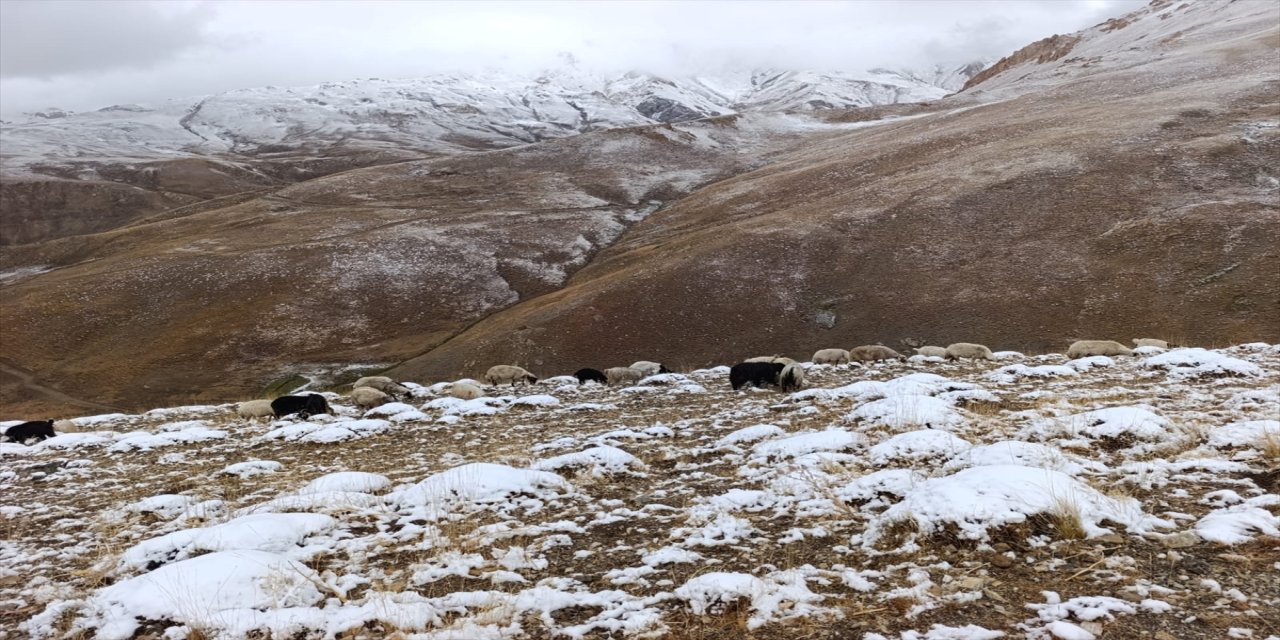 Başkale’nin yüksek kesimlerine mevsimin ilk karı yağdı