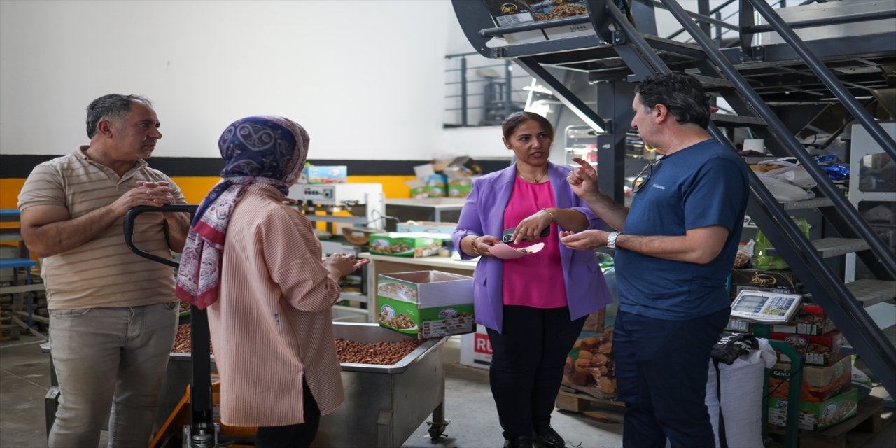 Vanlı kadın girişimci devlet desteğiyle kurduğu kuruyemiş fabrikasında 50 kişiye iş imkanı sağladı