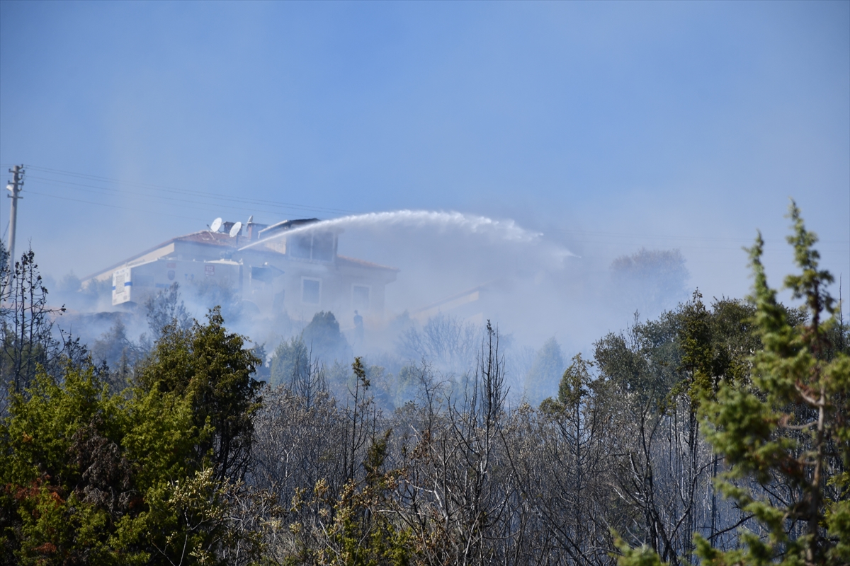 Bilecik'te ağaçlık arazide çıkan yangın kontrol altına alındı