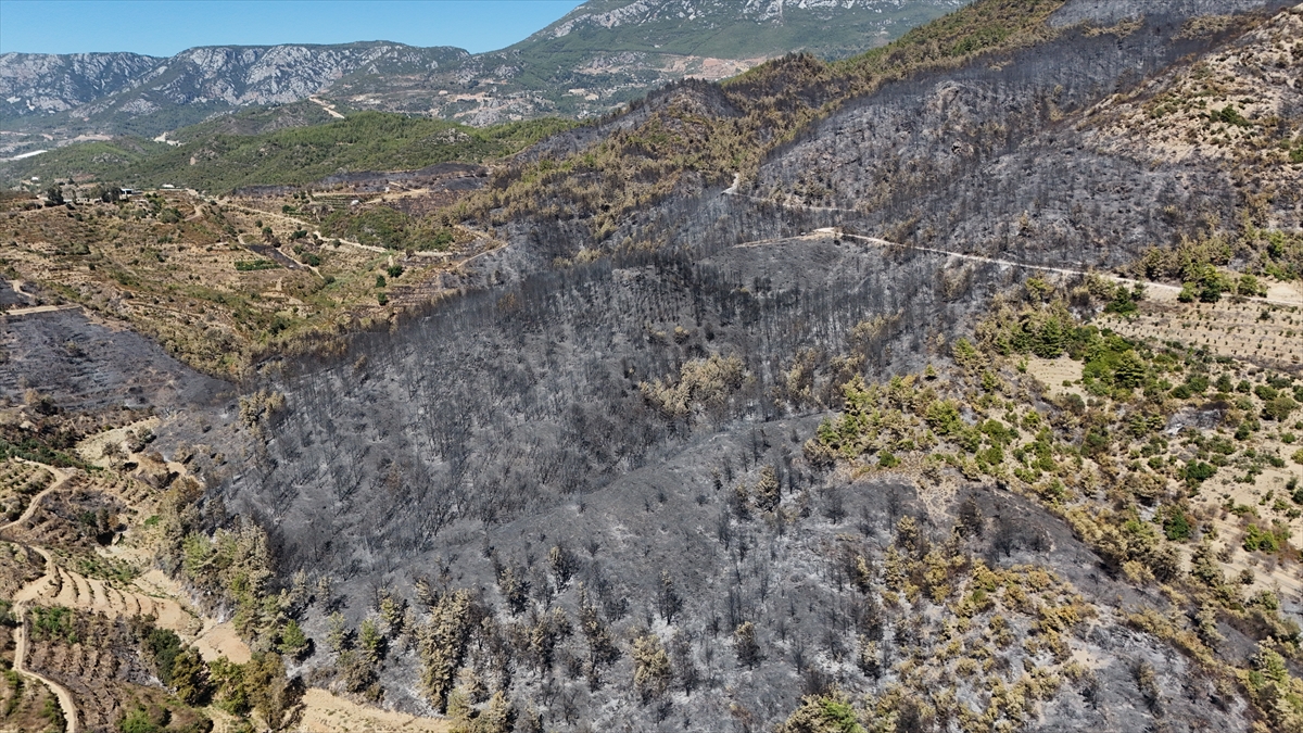 Alanya'da yangından zarar gören alanlar havadan görüntülendi
