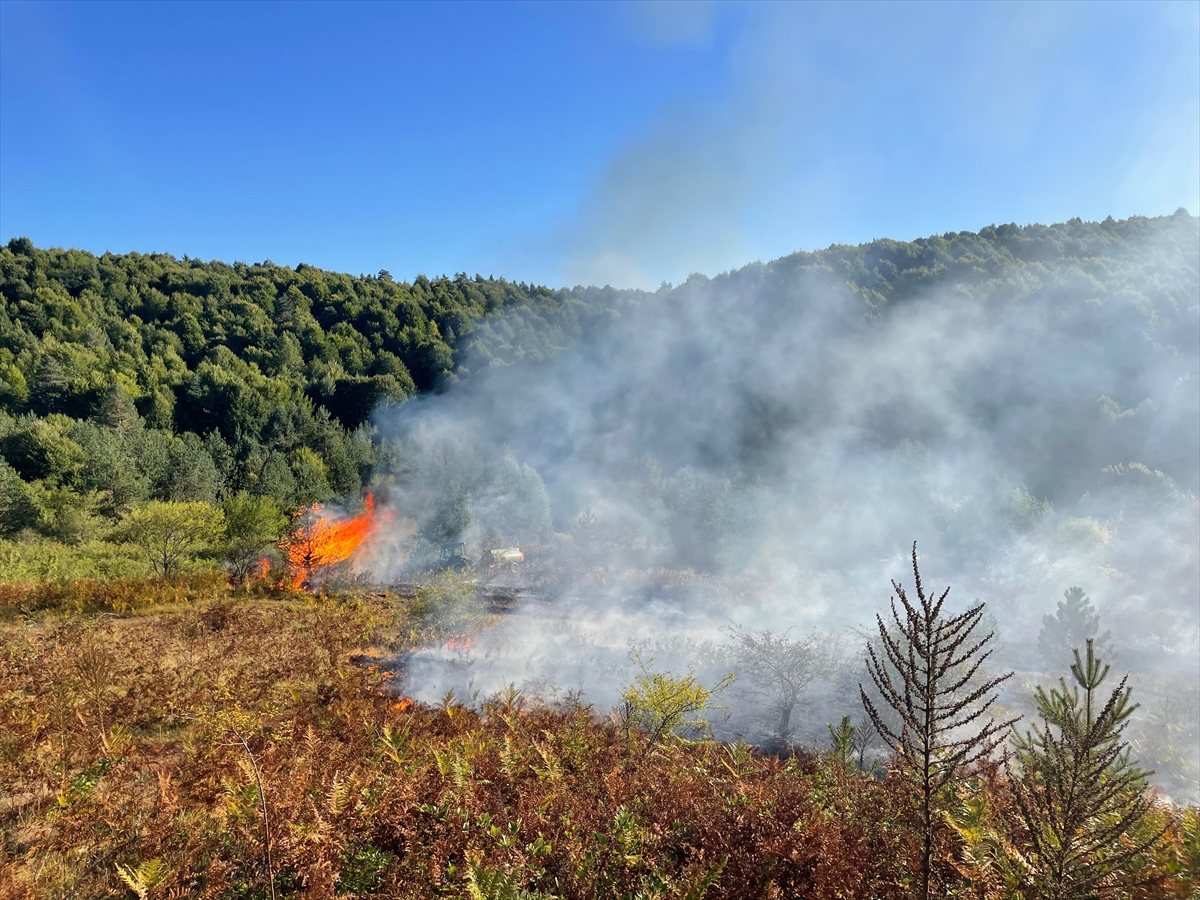 Bilecik Pazaryeri’nde arazide başlayıp ormanlık alana sıçrayan yangın kontrol altına alındı