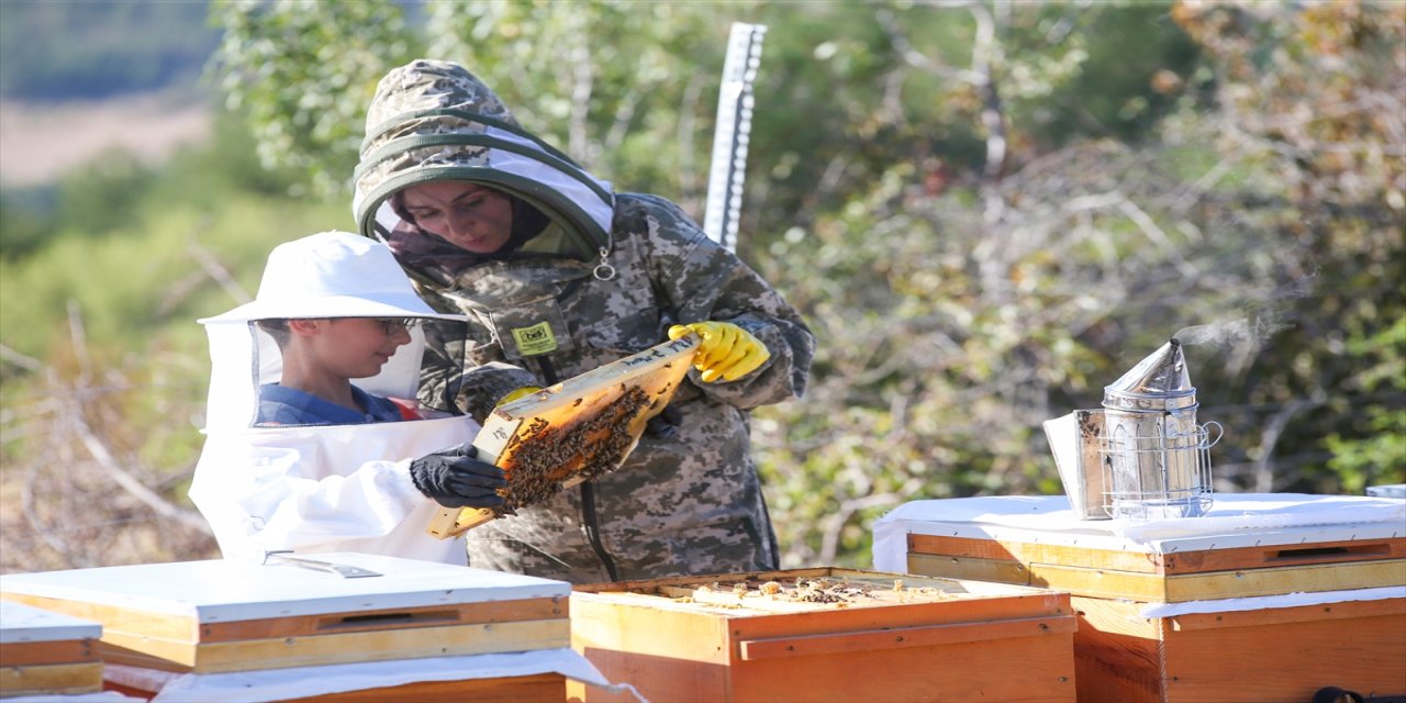 İstanbul’dan Kastamonu’ya her hafta 900 km yol giderek arılarına bakan Emine Eymür, 40 kovana ulaştı