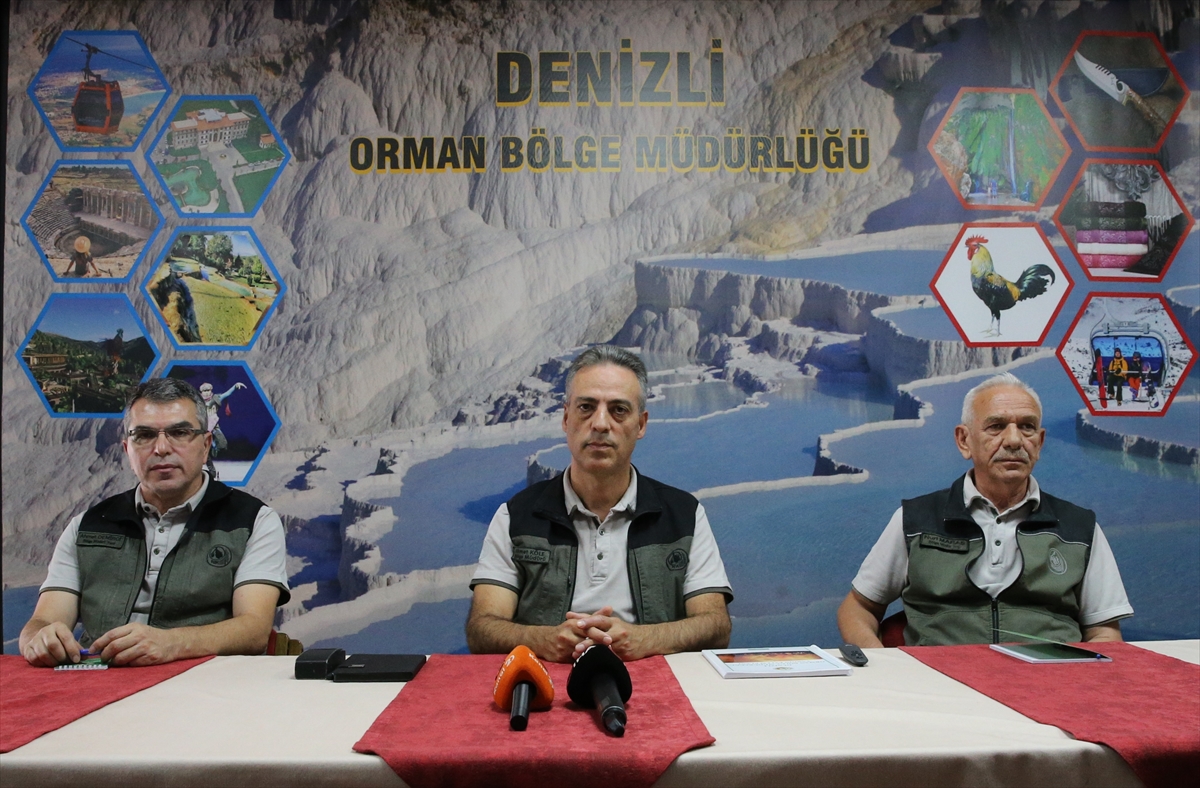 Denizli'de yangınlarda zarar gören alanlar 2 milyon 556 bin fidanla yeşillendirilecek