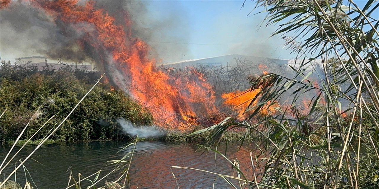 Antalya Muratpaşa’da sazlık alanda çıkan yangın itfaiye ekiplerince evlere sıçramadan kontrol altına alındı