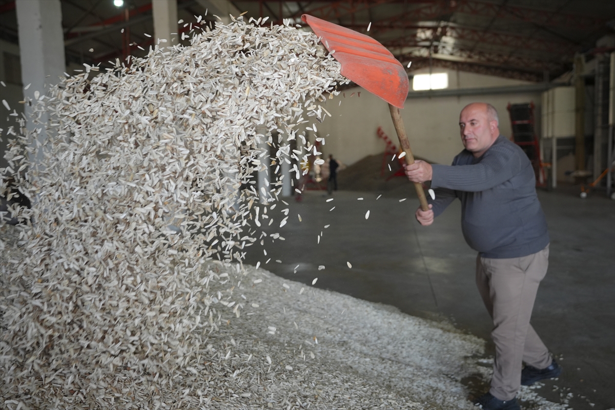 Devlet desteğiyle işini geliştirip tarımsal ihracat ödülü alan üretici hedef büyüttü