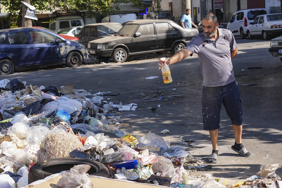 İzmir'de esnaf toplanmayan çöplere karşı mazotla haşere önlemi