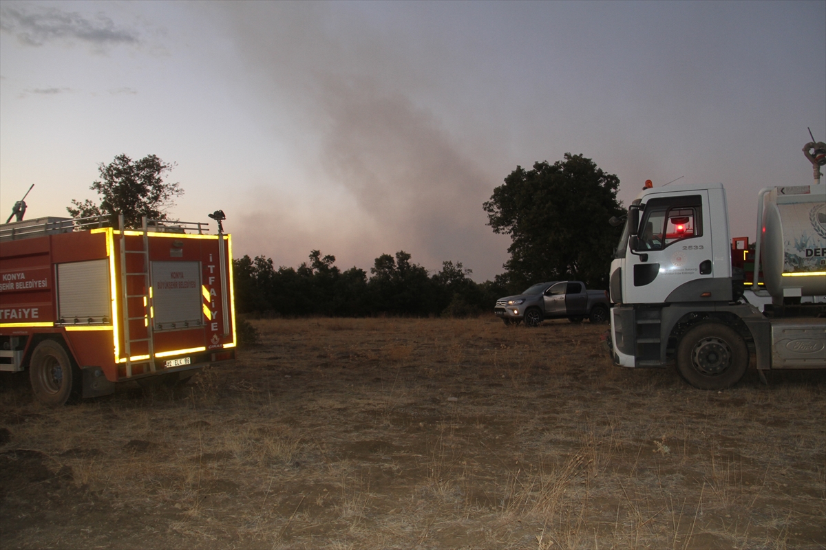 Konya'da sazlık alandaki yangın ormana sıçradı