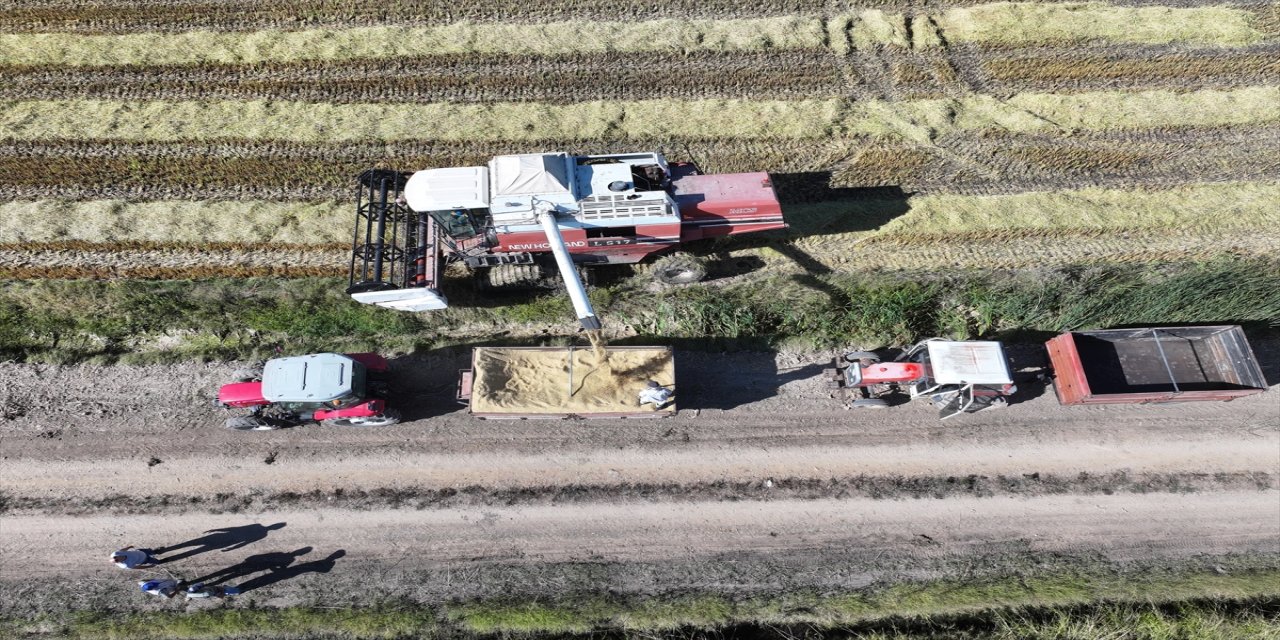 Edirne’de çeltik üreticisi kuraklığa rağmen sulama tedbirleriyle yüksek verim aldı