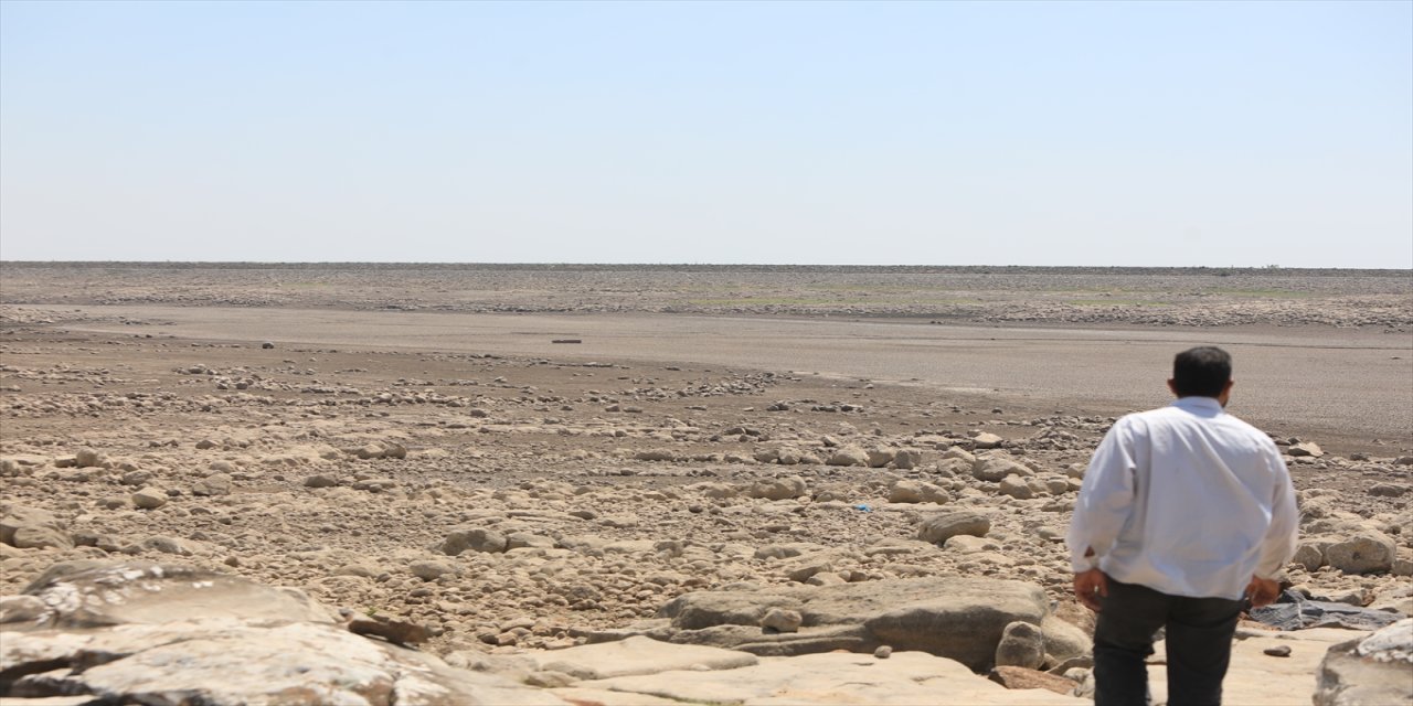 Suriye’nin güneyinde kuraklık ve İsrail’in müdahalesi tarımı çökertti: Çiftçiler çaresiz kaldı