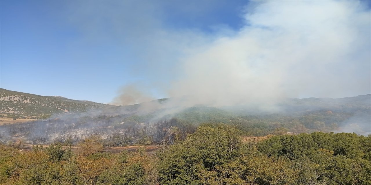 Burdur Ağlasun’da Orman Yangını