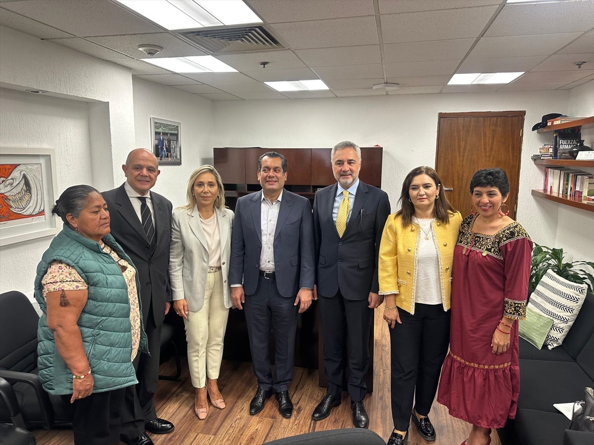 Türkiye-Meksika Dostluk Grubu Başkanı Sarıçam, Meksika Temsilciler Meclisi Başkanı ile görüştü