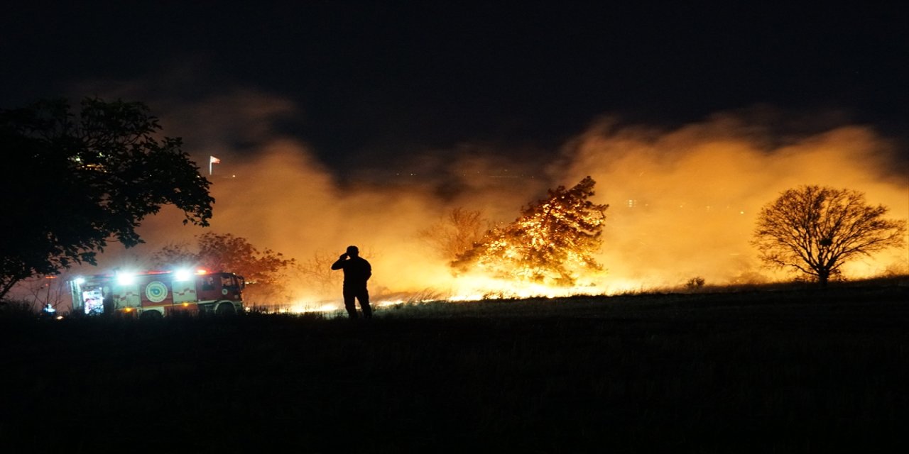 Tekirdağ’da anız yangını ağaçlık alana sıçradı: 10 dekar zarar gördü