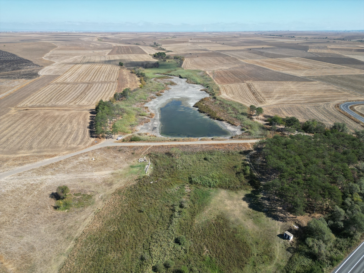Tekirdağ'da Kırkkepenekli Göleti kuraklık nedeniyle kuruma noktasına geldi