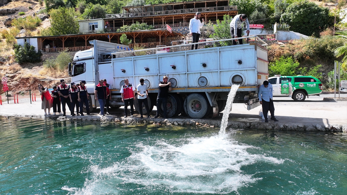 Diyarbakır'da 4 yılda barajlara ve göletlere 14 milyonu aşkın balık yavrusu bırakıldı