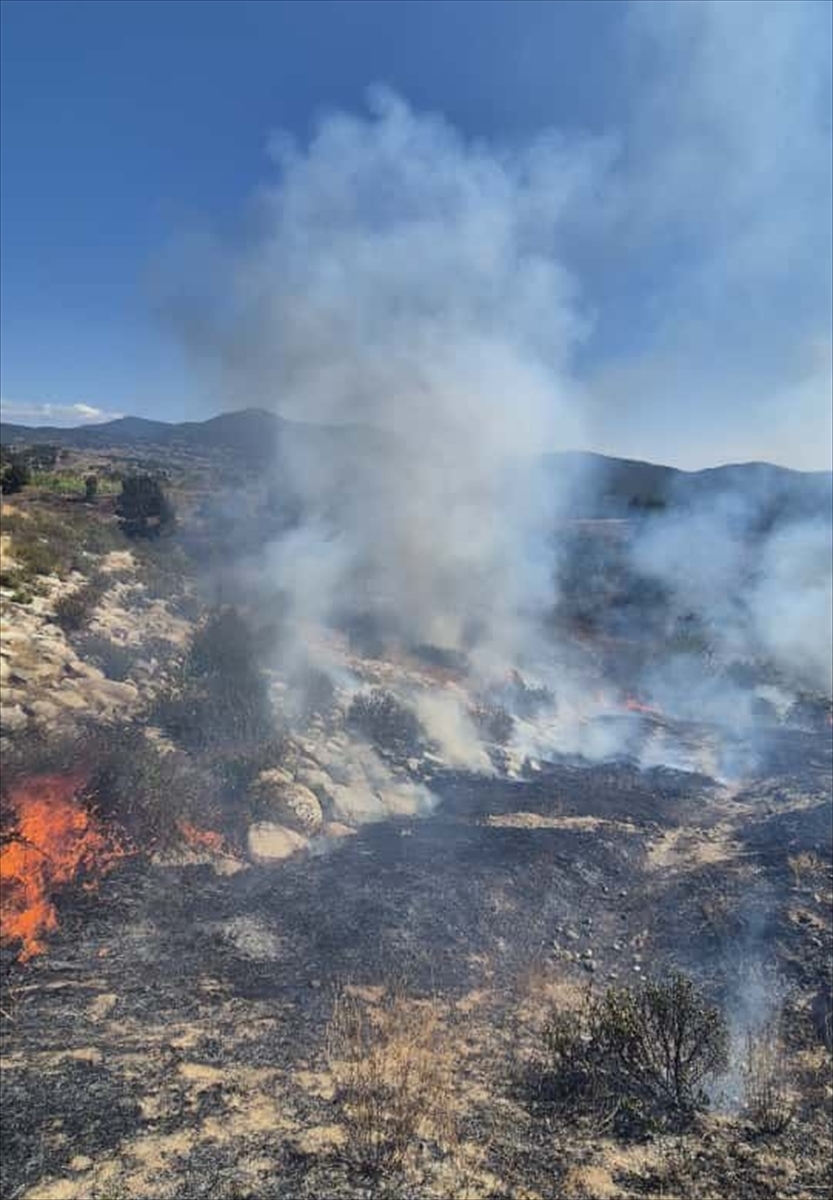Bursa'da ormanlık alanda çıkan yangına müdahale ediliyor