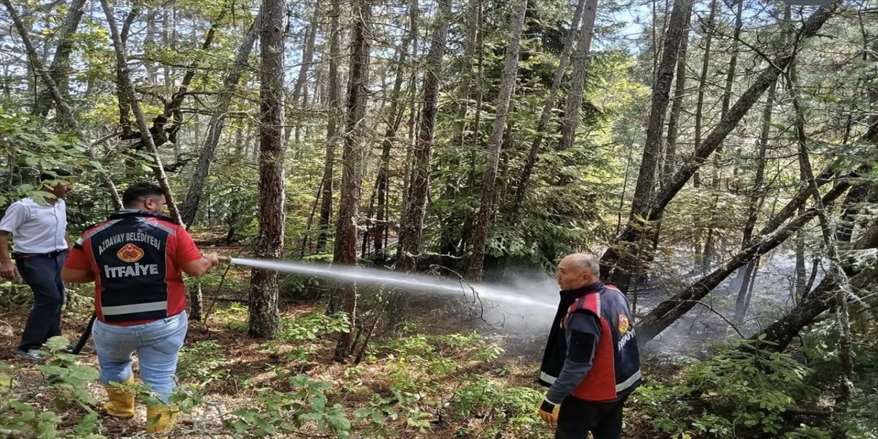 Kastamonu Azdavay’da çıkan orman yangını ekiplerin hızlı müdahalesiyle büyümeden kontrol altına alındı