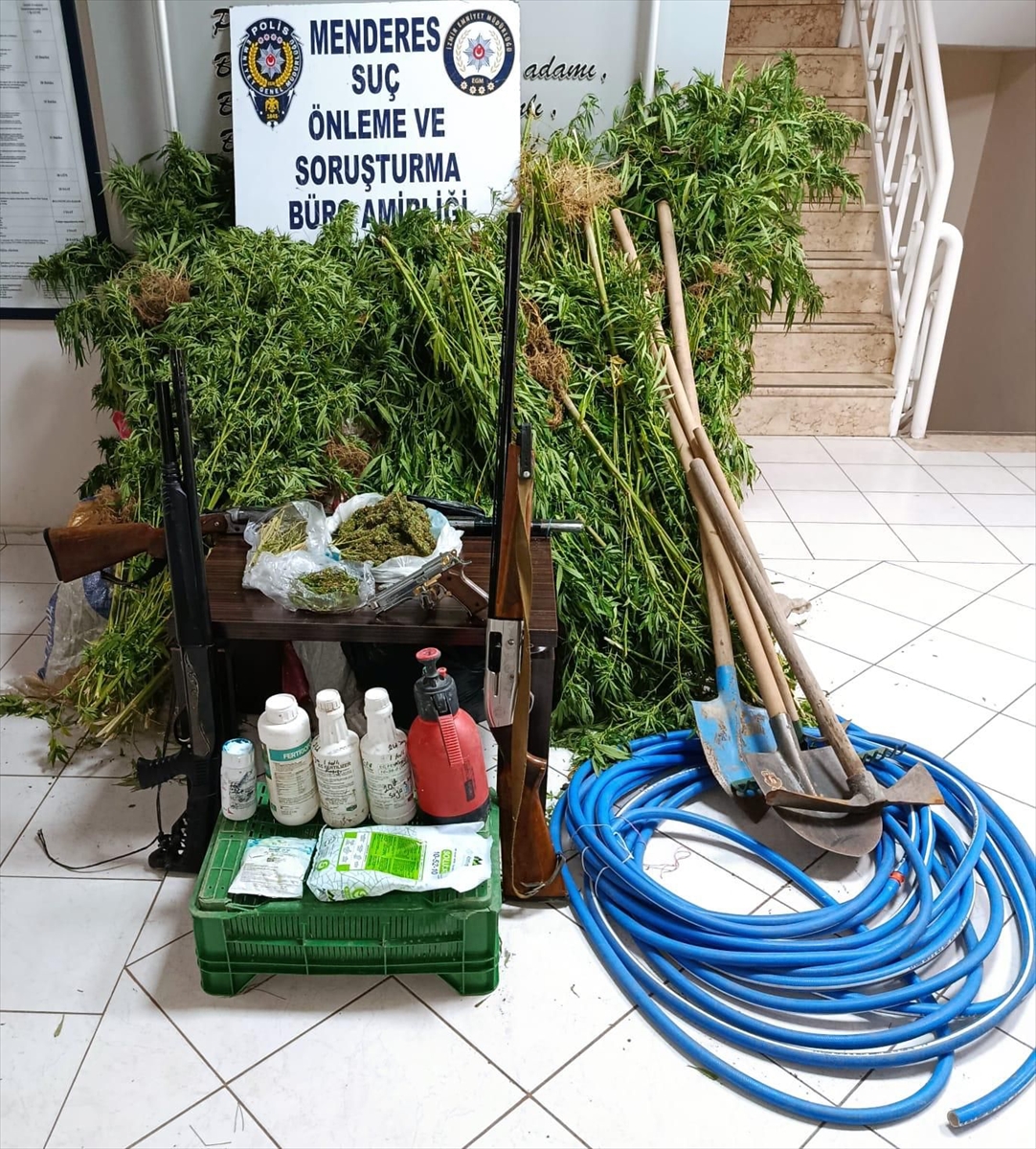İzmir'de ormanlık alanda Hint keneviri yetiştiren şüpheli tutuklandı