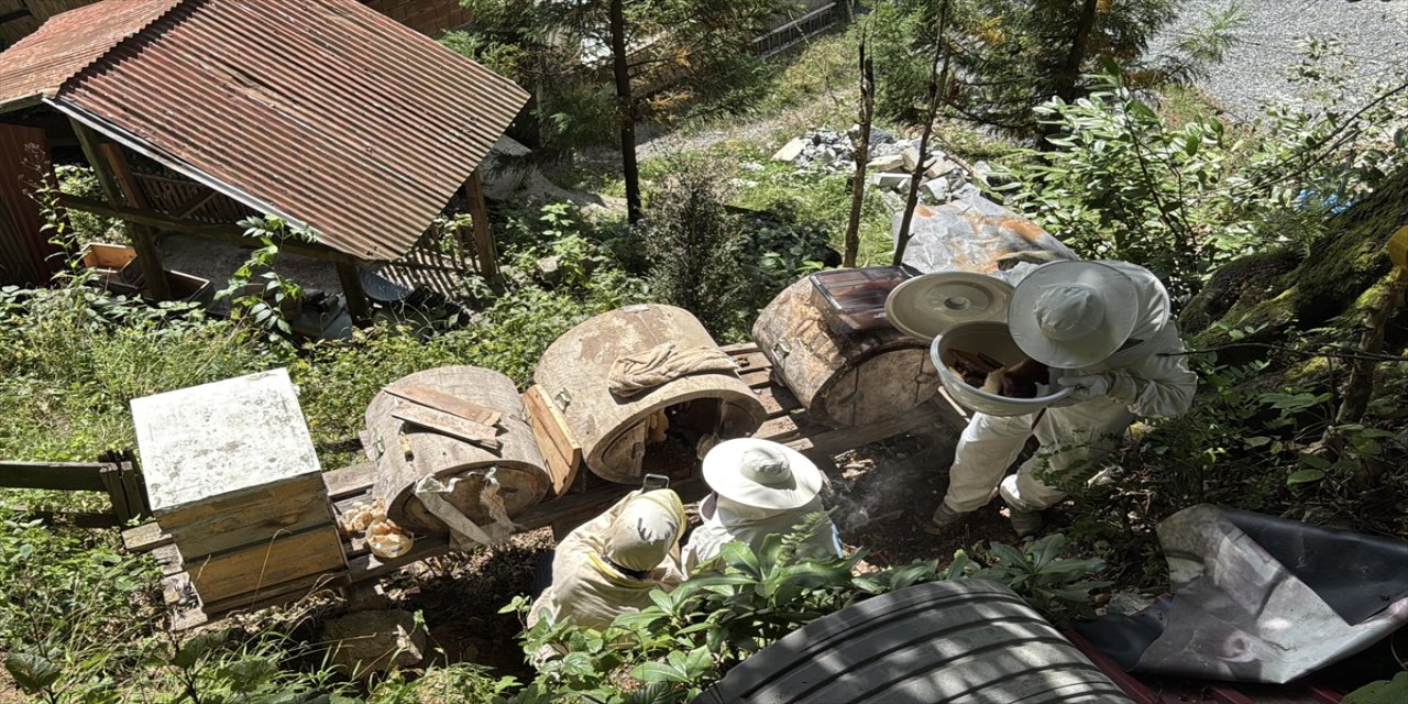 Ayder Yaylası’nda coğrafi işaretli balın hasadı başladı: Kilogram fiyatı 6 bin lira, bu yıl rekolte beklentisi 3 tonun üzerinde