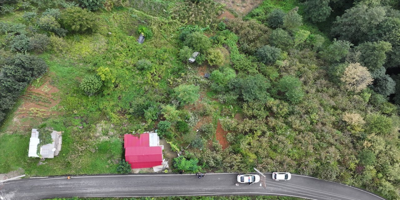 Trabzon’da otomobil fındık bahçesine yuvarlandı, sürücü hastaneye kaldırıldı