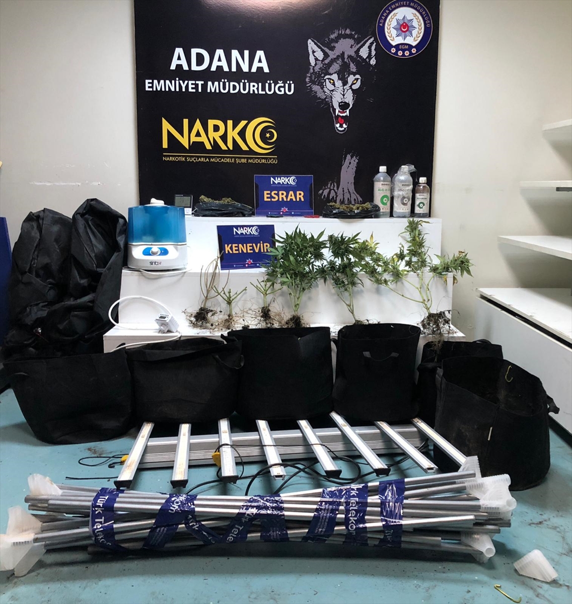 Adana'da evinde iklimlendirme sistemiyle kenevir yetiştiren zanlı tutuklandı