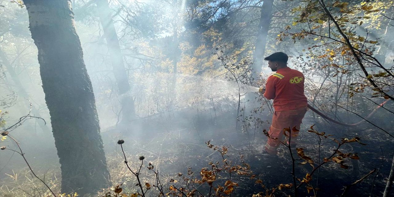 Kars Sarıkamış’ta ormanda çıkan örtü yangını ekiplerin müdahalesiyle söndürüldü, 1 hektar alan zarar gördü