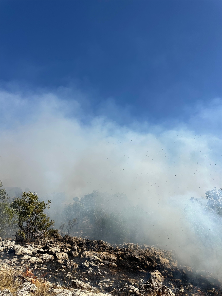 Diyarbakır'da çıkan örtü yangınına müdahale ediliyor