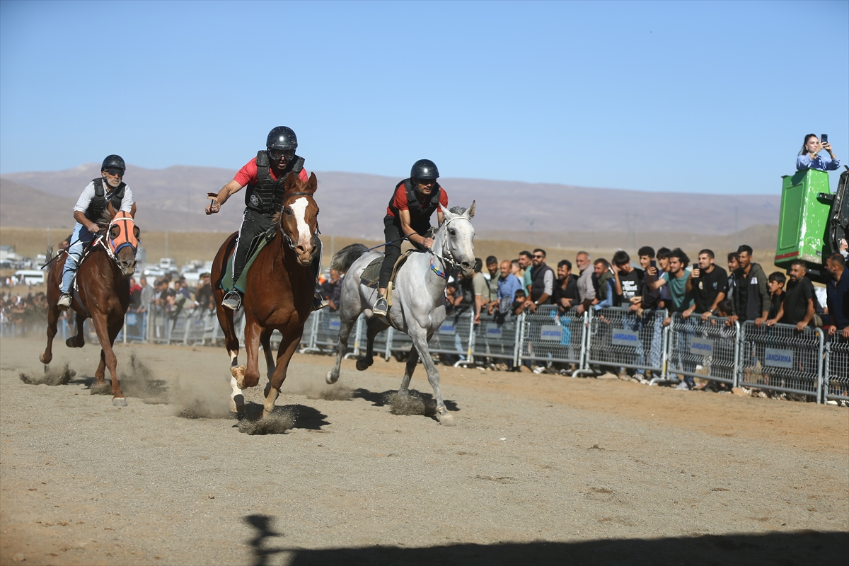 Bingöl'de geleneksel Toklular at yarışları yapıldı