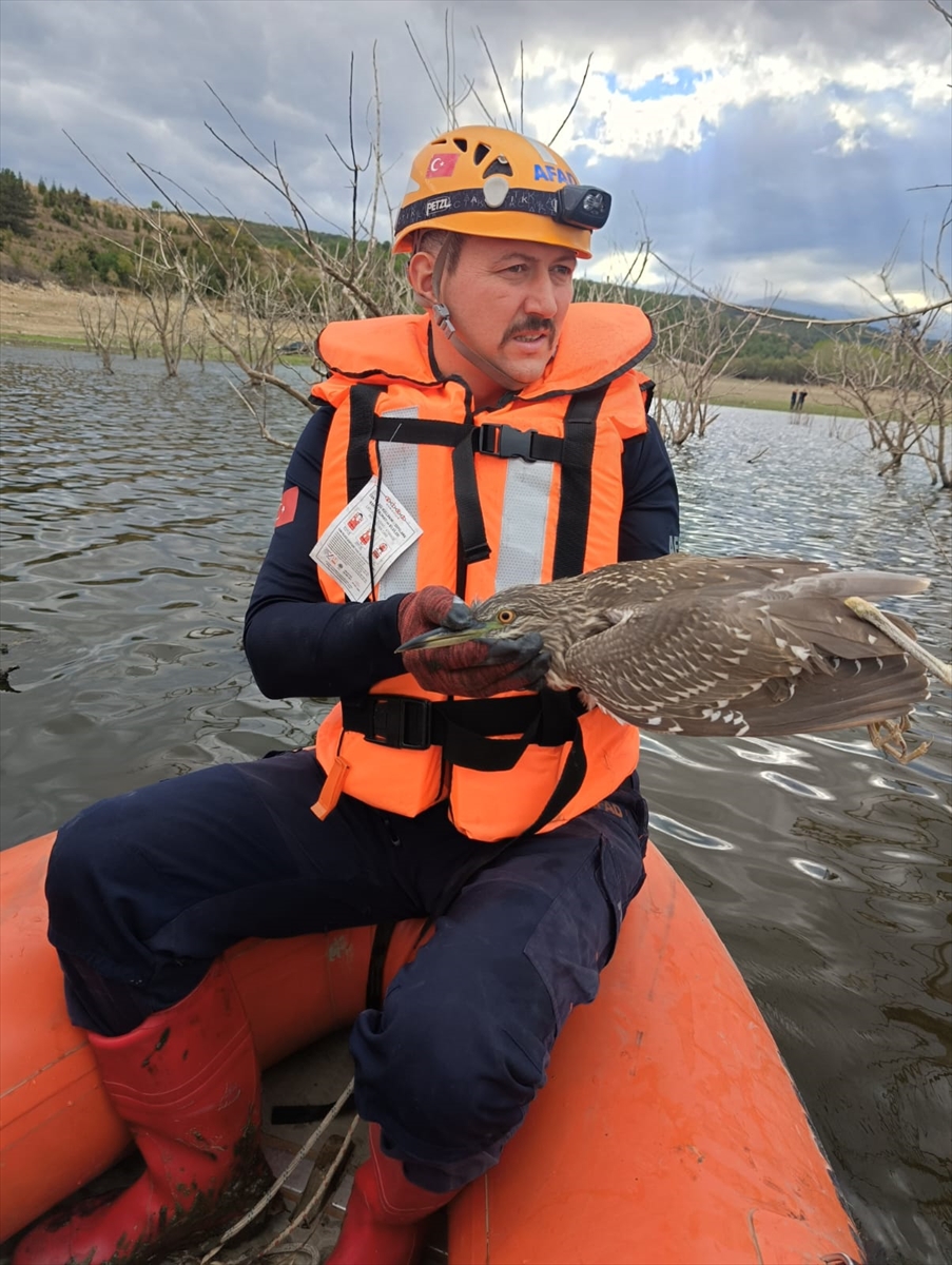 Bursa İnegöl’de gölette mahsur kalan yabani kuş kurtarıldı