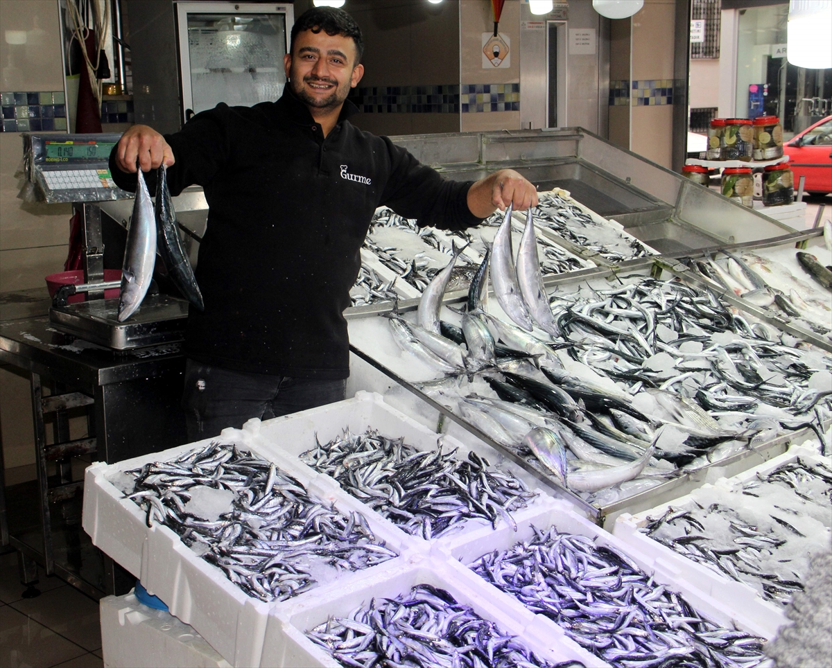 Sinop'ta balıkçı tezgahları hamsiyle doldu